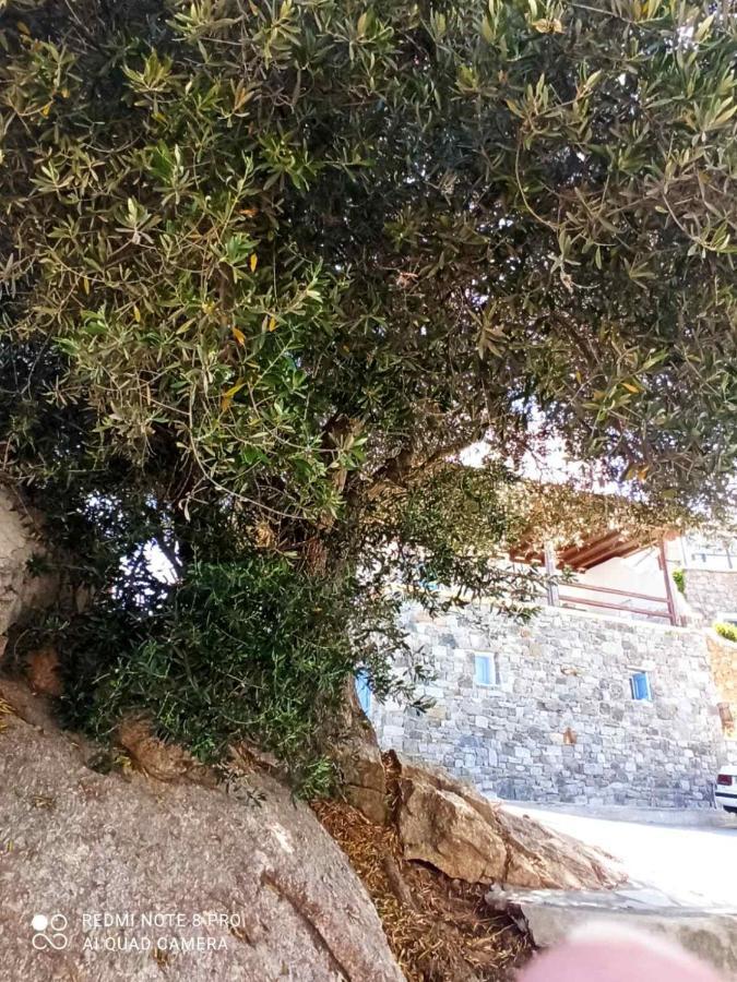 Appartamento Evans 2 Bedroom House Mykonos Mykonos Town